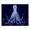 Oversized Octopus Triptych Print in Blue