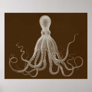 Oversized Octopus Triptych Print in Brown