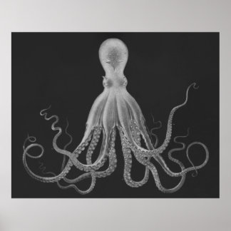 Oversized Octopus Triptych Print in Gray