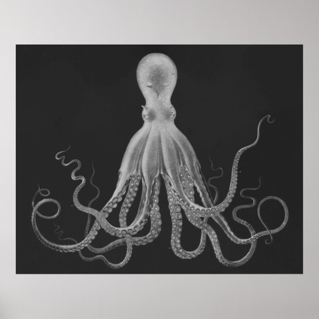 Oversized Octopus Triptych Print in Gray (Front)