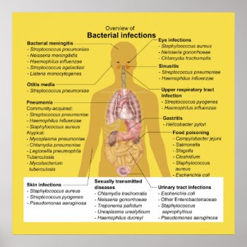 Overview Of Bacterial Infections Poster by jetglo at Zazzle