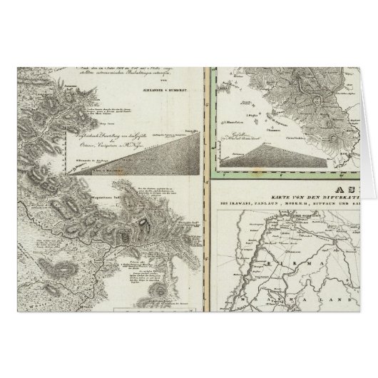 Overview of the better known bifurcation cards (Front Horizontal)