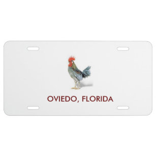 Oviedo, Florida Front License Plate