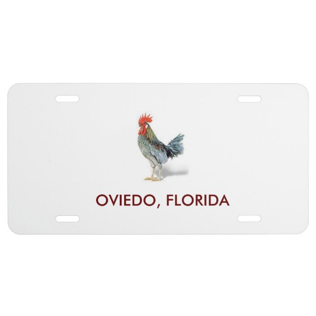 Oviedo, Florida Front License Plate (Front)