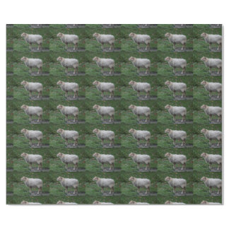 Ovis aries wrapping paper