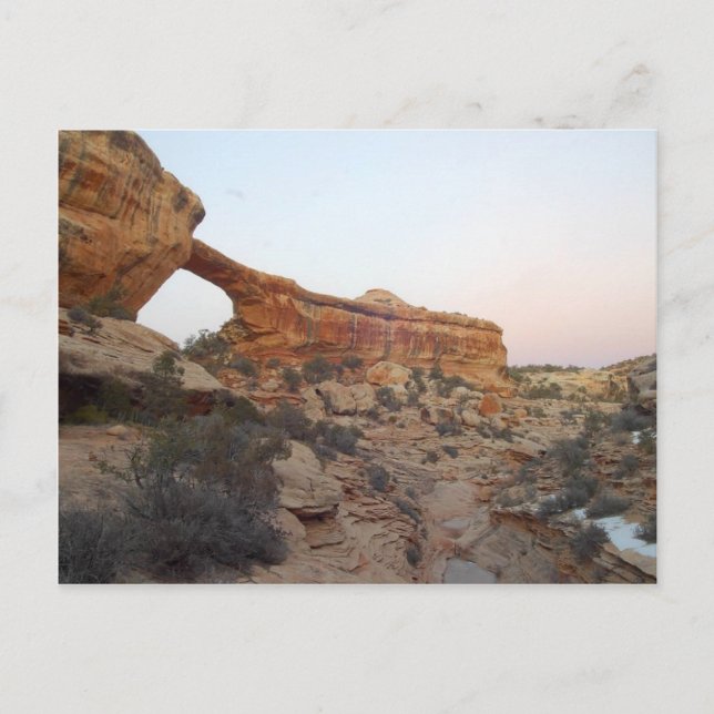 Owachomo Bridge At Natural Bridges National Monume Postcard (Front)