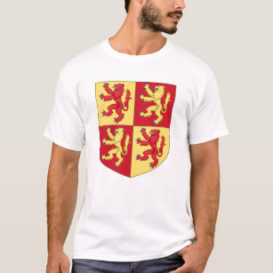 Owain Glyndwr Battle Golden Dragon T-Shirt
