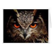 Owl (Front Horizontal)