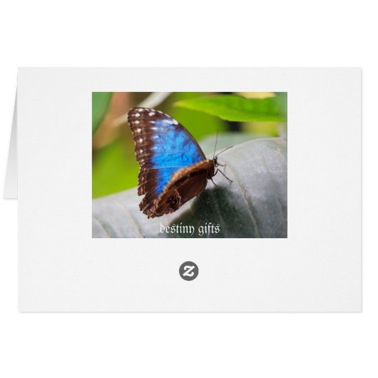 Owl (Back Horizontal)