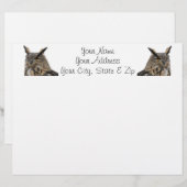 Owl (Front/Back)