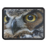 owl-15.jpg trailer hitch cover