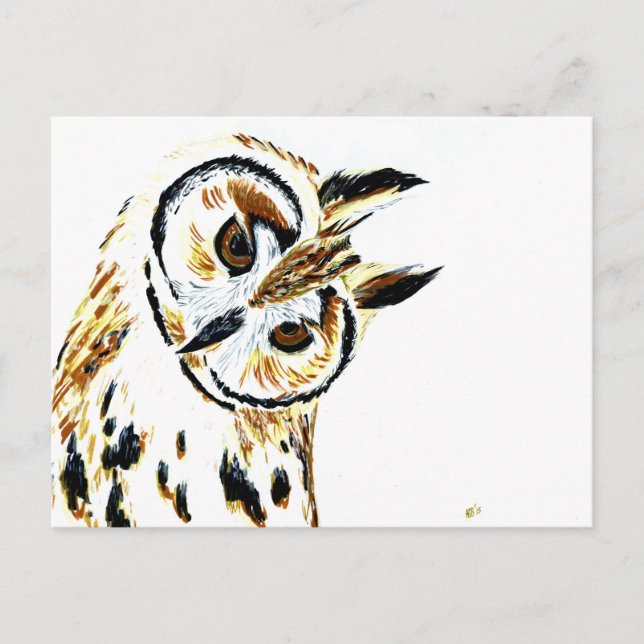 Owl 1 postcard (Front)