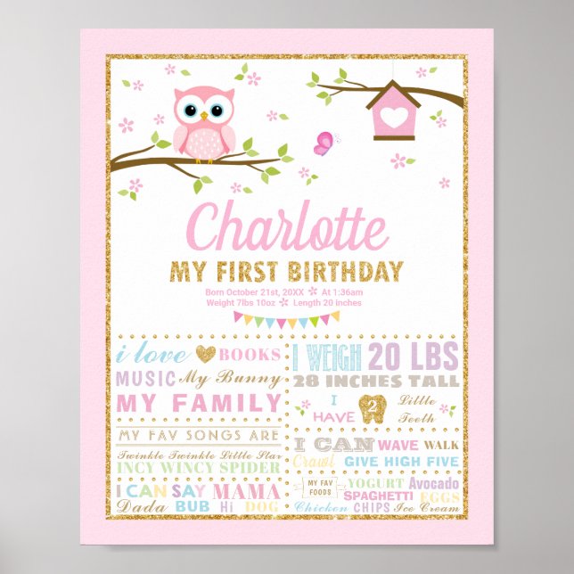 Owl 1st Birthday Pink Milestone Birth Stats Sign (Front)
