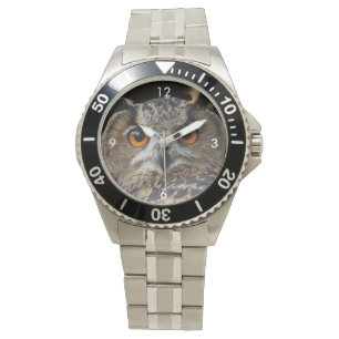 Owl_20180202_by_JAMFoto Watch