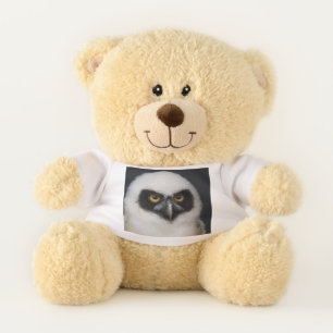 Owl_20180210_by_JAMFoto Teddy Bear