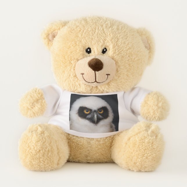 Owl_20180210_by_JAMFoto Teddy Bear (Front)