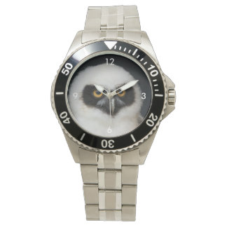 Owl_20180210_by_JAMFoto Watch
