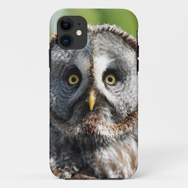 Owl_20180219_by_JAMFoto Case-Mate iPhone Case (Back)