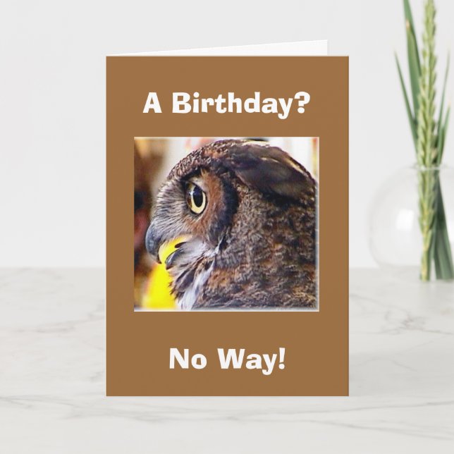 owl 2, A Birthday?, No Way! Card (Front)