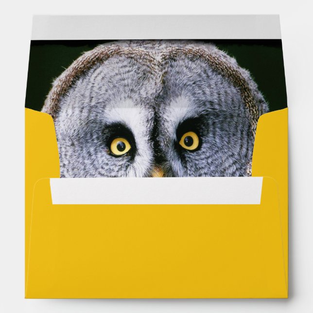 Owl 2 Envelope (Back (Bottom))