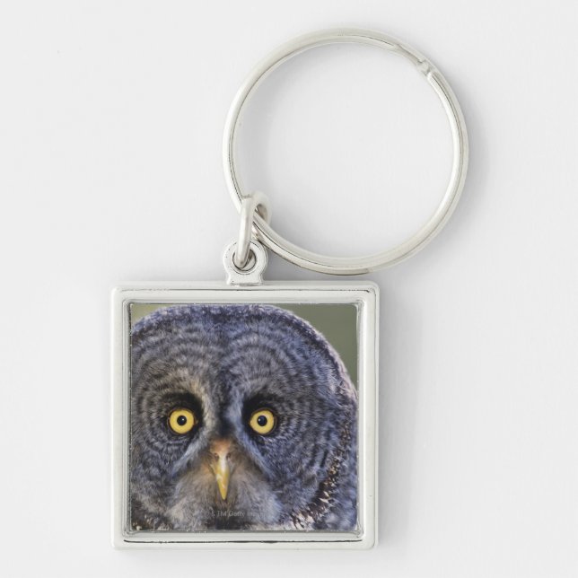 Owl 3 keychain (Front)