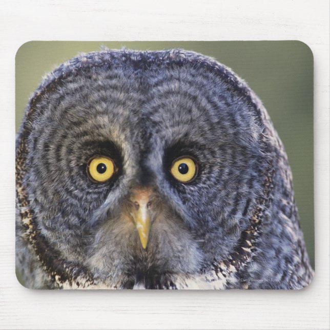 Owl 3 mouse pad (Front)