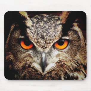 Owl 3 Mousepads