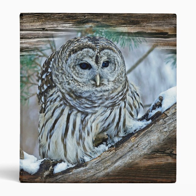 Owl 3 Ring Binder (Front)