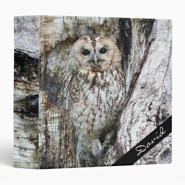 Owl 3 Ring Binder (Front/Spine)