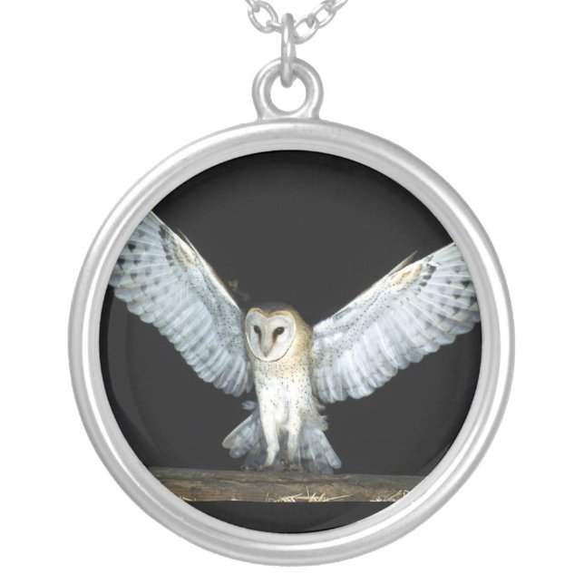 Owl (6) silver plated necklace (Front)