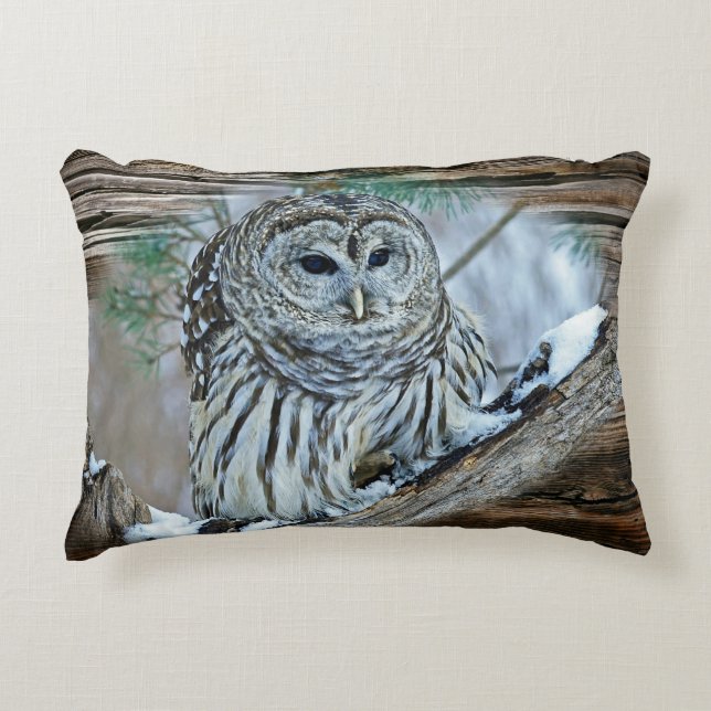 Owl Accent Pillow (Front)