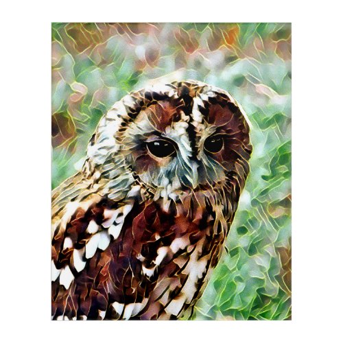 OWL ACRYLIC PRINT