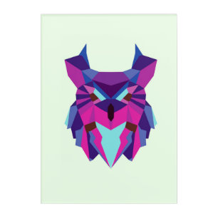 Owl Acrylic Print