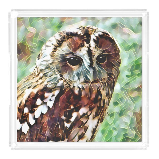 OWL ACRYLIC TRAY (Front)