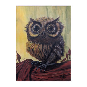 Owl Acrylic Wall Art, 10" x 14" Print
