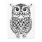 owl adult coloring postcard gift