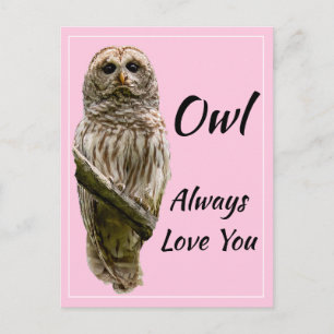 Owl Always Love You Postcard