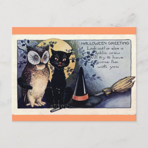 Owl and Black Cat Halloween Postcard