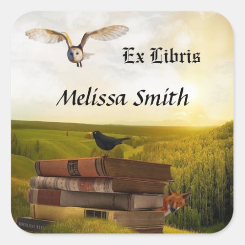 Owl And Books Add Name Ex Libris Square Sticker