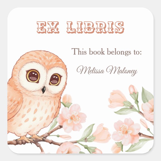 Owl And Cherry Blossoms Ex Libris Bookplate (Front)