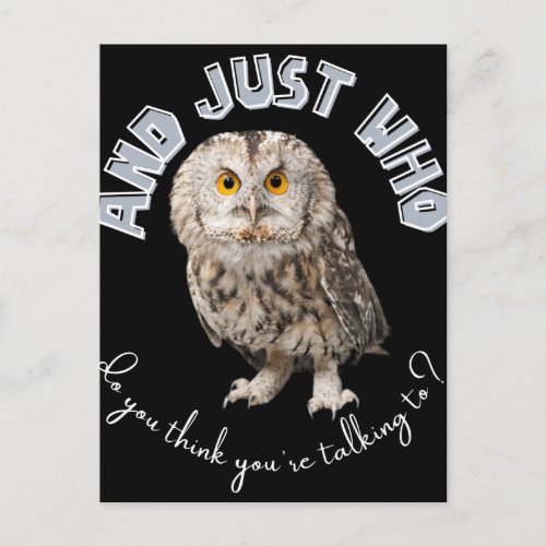 Owl And Just Who Do You Think Youre Talking To Postcard