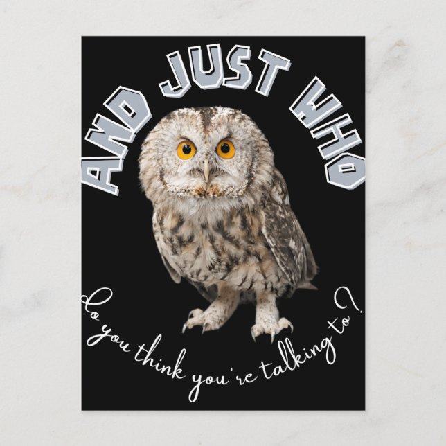Owl: And Just Who Do You Think You're Talking To? Postcard (Front)