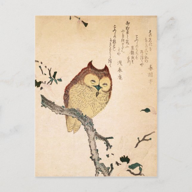 Owl and magnolia – Kobushi ni mimizuku Postcard (Front)