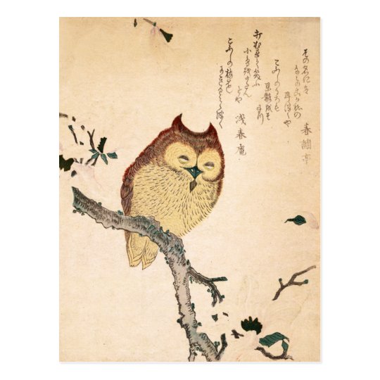Owl and magnolia – Kobushi ni mimizuku Postcard