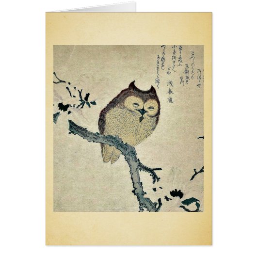 Owl and magnolia Ukiyoe Cards (Front)