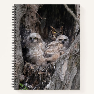 Owl and Owlets Notebook