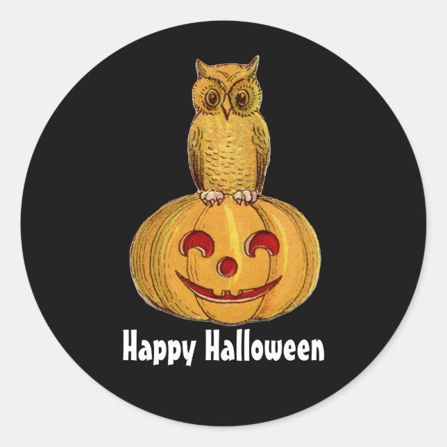 Owl And Pumpkin Round Sticker (Front)