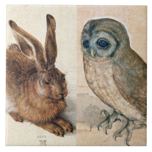 OWL AND  RABBIT  Young Hare  by Albrect Durer Ceramic Tile