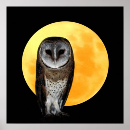 Owl and the full moon poster