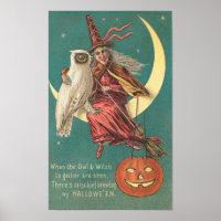 Owl and Witch Poster
